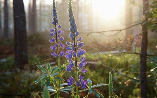 920063 (a): :2880x1800